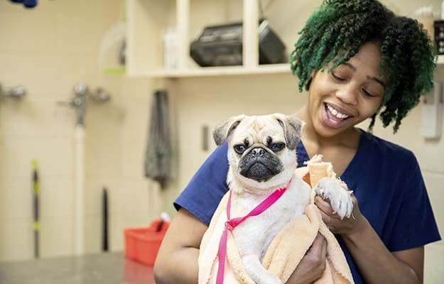 Boarding Registration Form for Pets | Friendly Animal Clinic