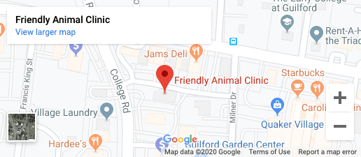 Friendly Animal Clinic | Greensboro Vet