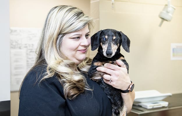 Geriatric Care for Cats & Dogs in Greensboro | Senior Pet Care