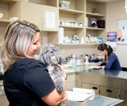 Why Trust Us | Greensboro Veterinarians | Friendly Animal Clinic