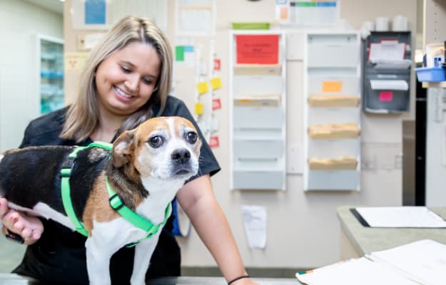 Vaccinations & Preventive Care | Friendly Animal Clinic l | Greensboro Veterinarian