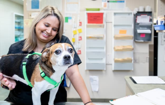 Pet Vaccinations & Preventive Care at Friendly Animal Clinic