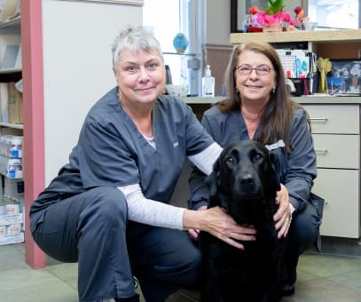 Why Trust Us | Greensboro Veterinarians | Friendly Animal Clinic