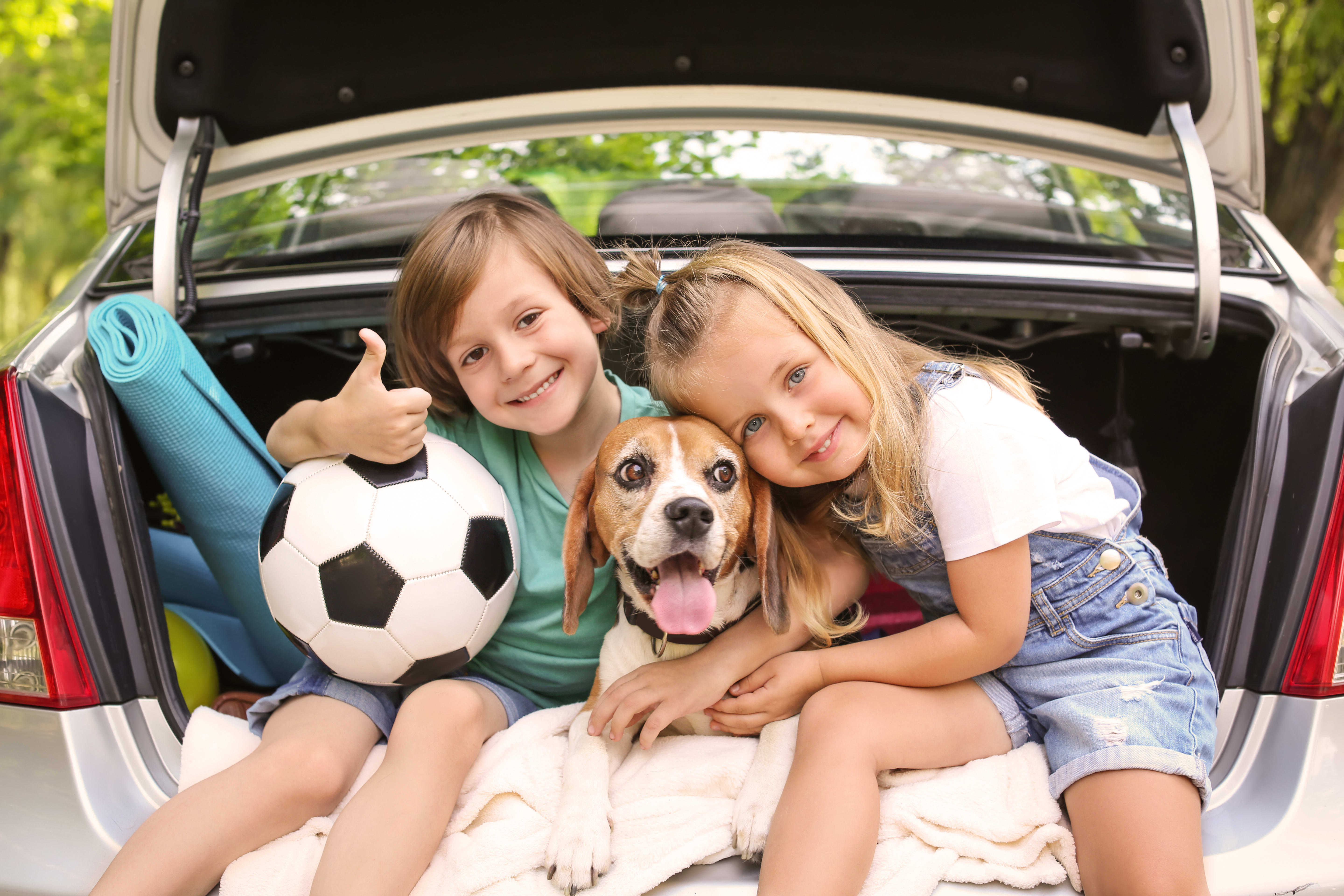 How to Choose a Dog for Your Family with Kids | Greensboro Vet