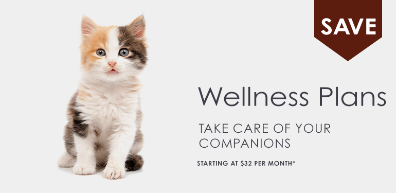 Pet Wellness Plans in Greensboro, NC