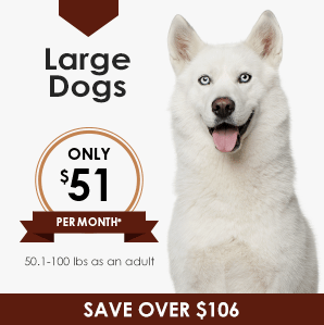 Large Dog Wellness Plan | Greensboro Veterinarian | Friendly Animal Clinic