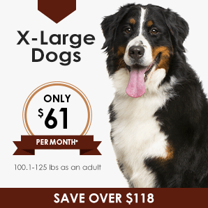X-Large Dog Wellness Plan | Greensboro Veterinarian | Friendly Animal Clinic